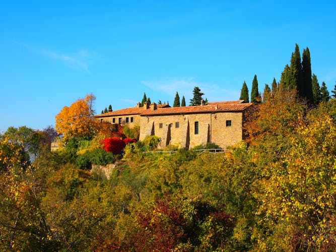 Agriturismo Convento di Novole - Colline della Toscana
