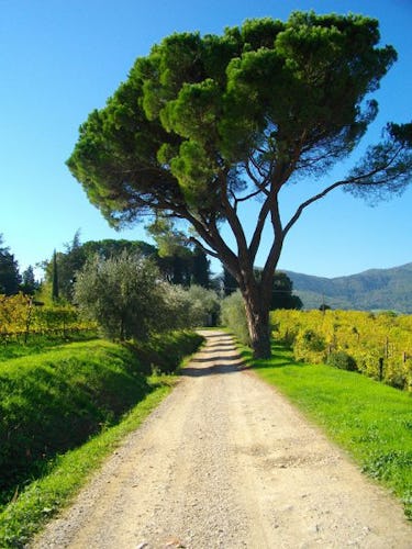 A walk in the relaxing countryside surrounding the estate