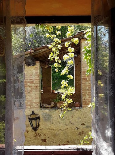  Agriturismo Il Colombaio di Barbara - Nature outside your window