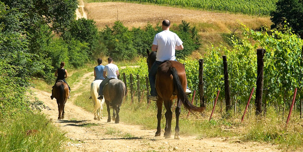 Horseback riding tour for discovering the surroundings