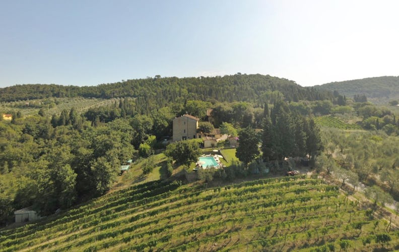 Agriturismo La Tinaia - Vineyards from above