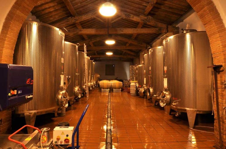 Ask to visit their cantina to see how their organic wine is processed