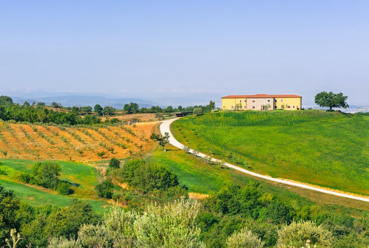Agriturismo Poggio Mirabile - Extra virgin olive oil and the true flavors of Tuscany