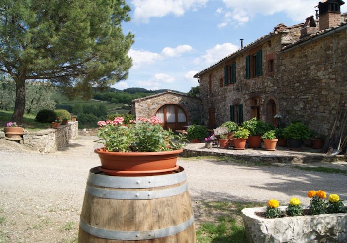 The garden surrounding the farmhouse