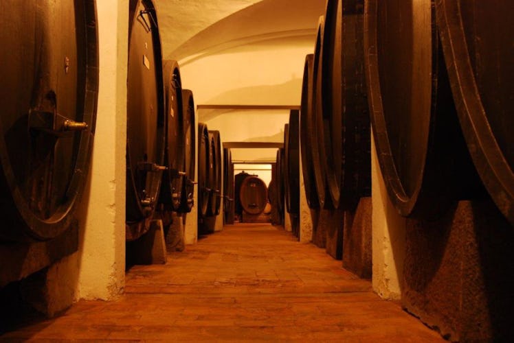 Le antiche cantine dove tuttora viene prodotto il vino dell'azienda