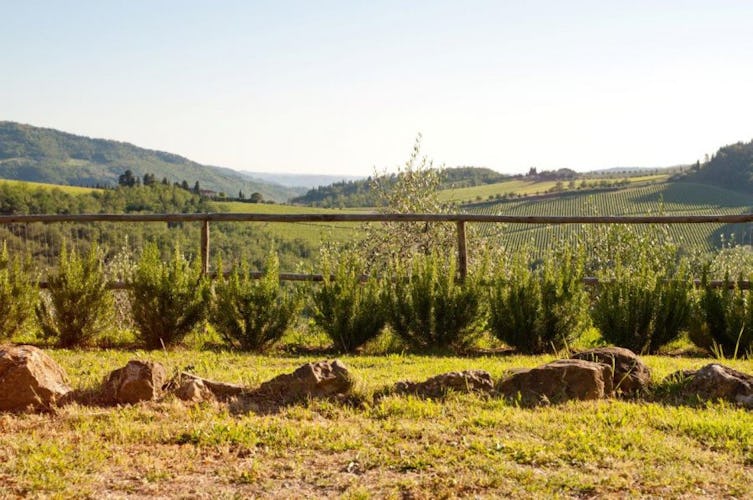 Enjoy the Tuscan countryside while being close to  Florence