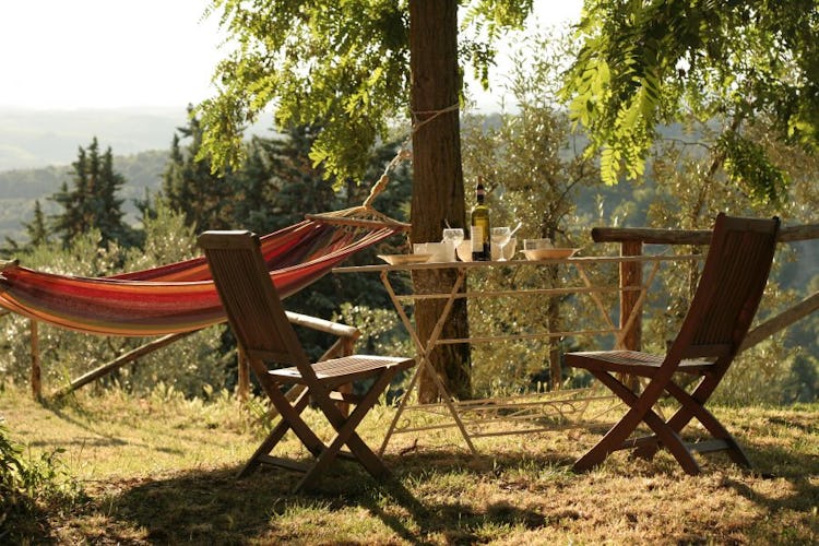 Ancora del Chianti B&B: Find a table or a hammock for some down time and a nap in Chianti