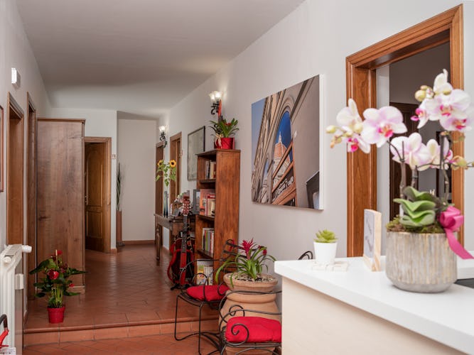 hall-bed-and-breakfast-florence