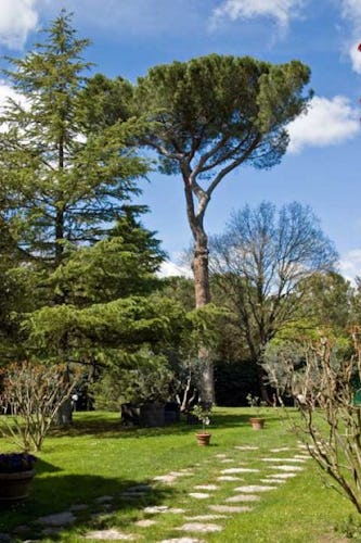 Gli alberi che ombreggiano il giardino, tra cui pini ed abeti