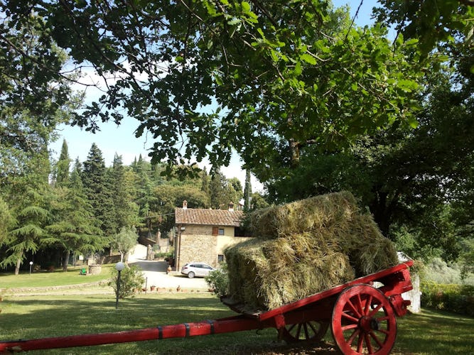 Poggio del Drago: autentico agriturismo toscano