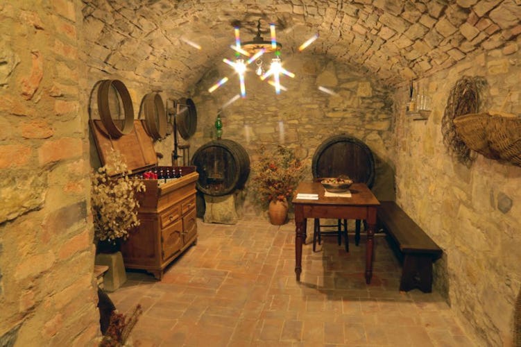 B&B del Giglio: La cantina, dove vengono conservati i vini pregiati del Chianti