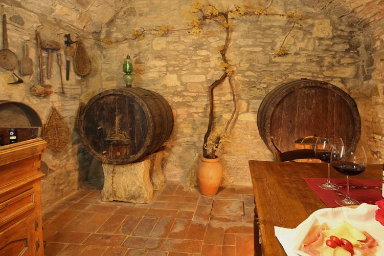 Cellar view of wooden barrels