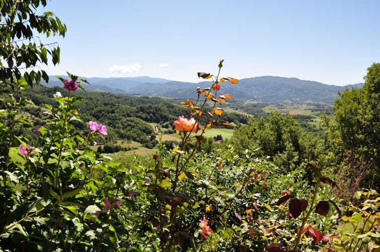 Visit the enchanting nature of Mugello by bike, by hiking or by horse