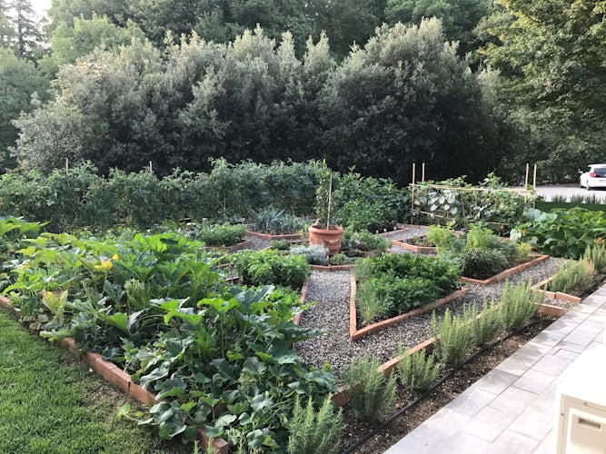 BelSentiero Estate & Country House: Herb gardens for a lovely walk