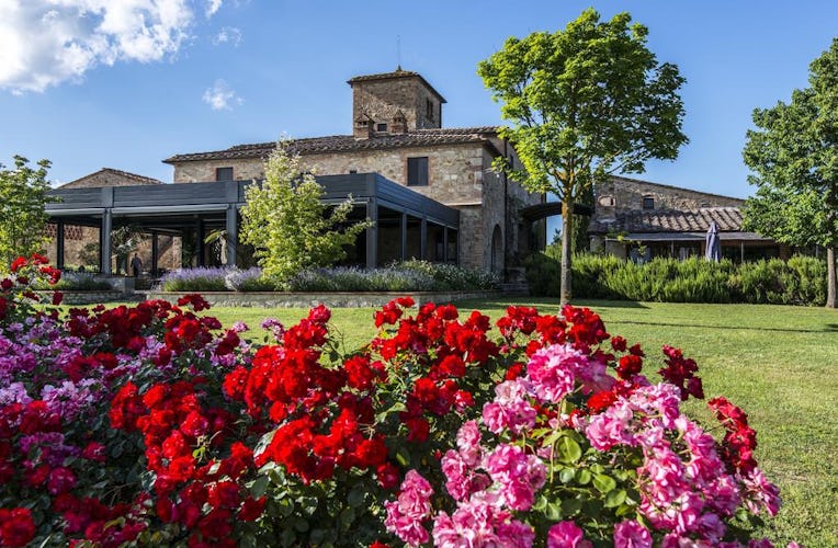 Locanda Le Piazze: Boutique Hotel in the Vineyards & Olive Groves of Chianti