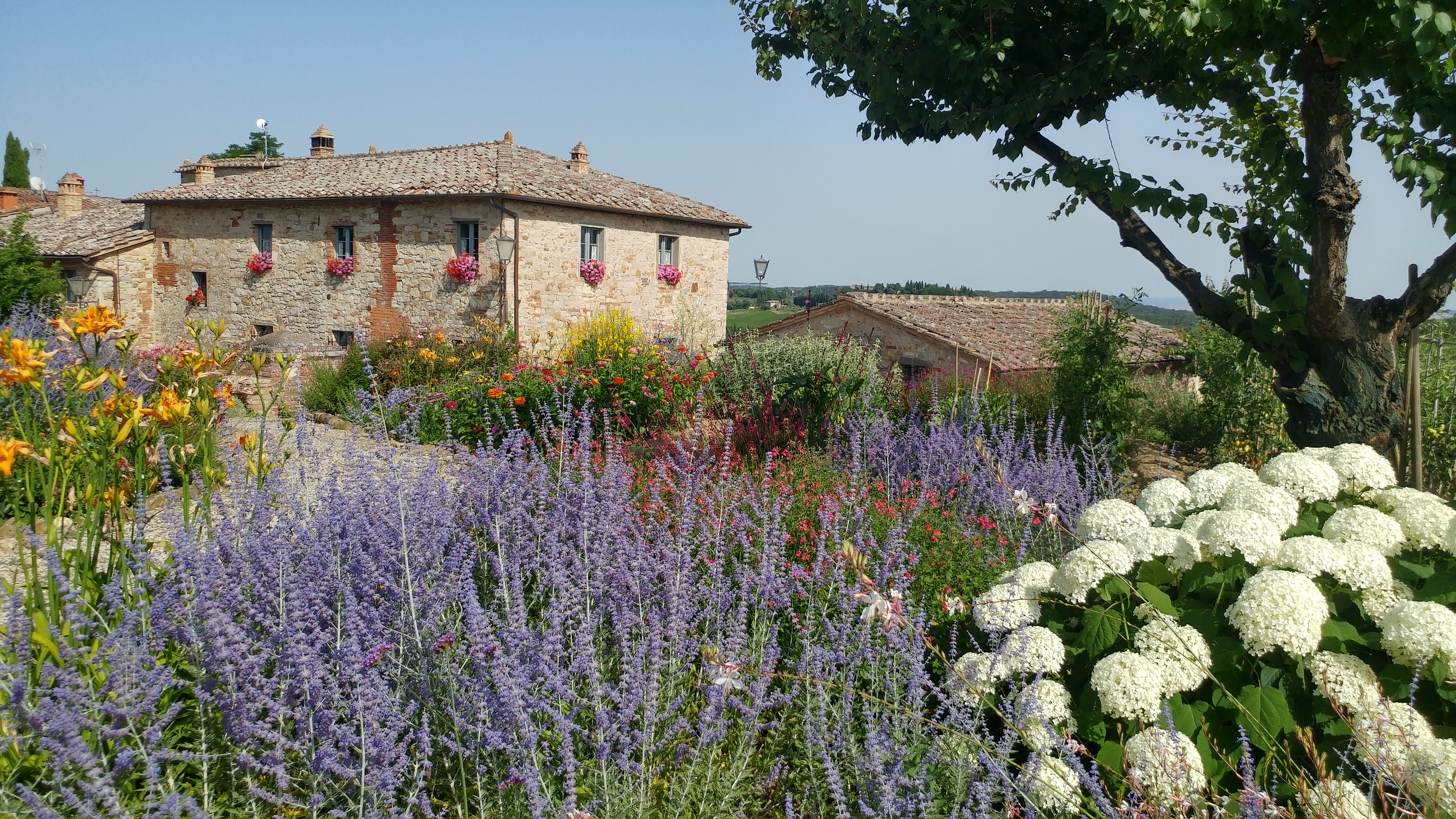 Borgo Argenina Luxury B&B & Vacation Villas In Giaole In Chianti