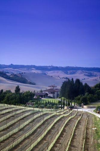 Borgo della Meliana: Gambassi Terme farmhouse, panorama