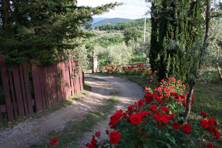 A holiday surrounded by the colors and perfumes of Chianti