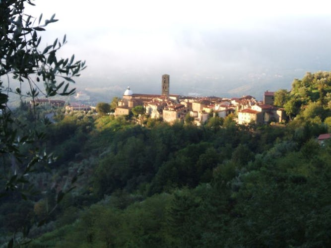 View over the medieval village of Massa e Cozzile