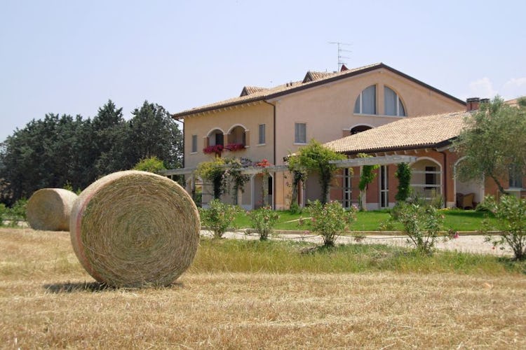 Countryside at Maremma Resort Guadalupe