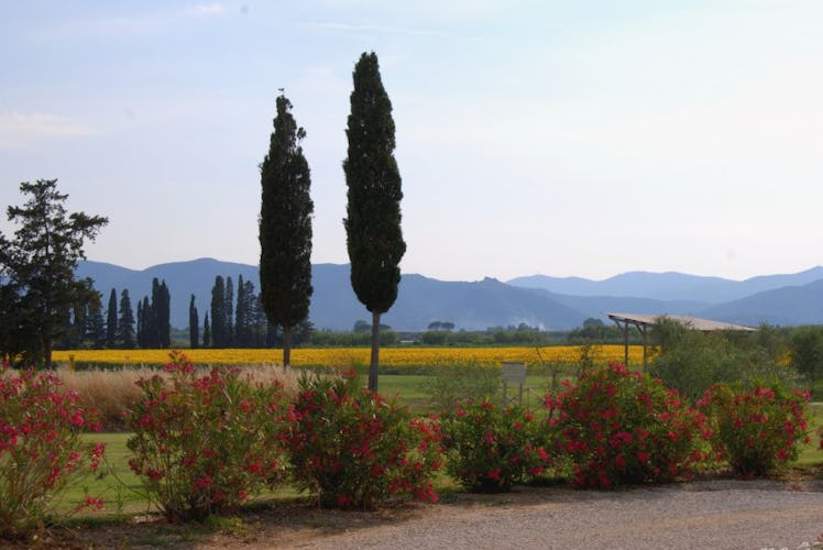 Maremma Nature at Country Resort Guadalupe