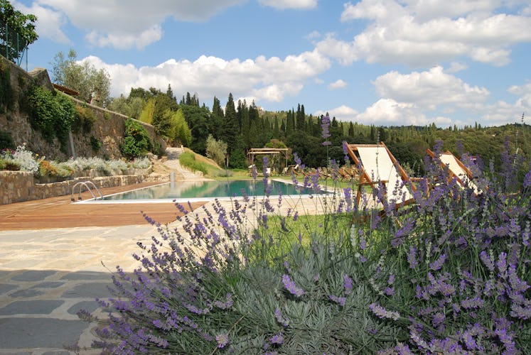 Fattoria di Maiano: pool is surrounded by the fragrances of Tuscany