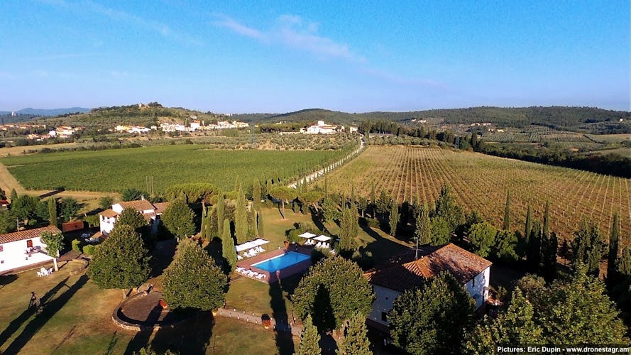 Fattoria Pagnana: enjoy the vineyards