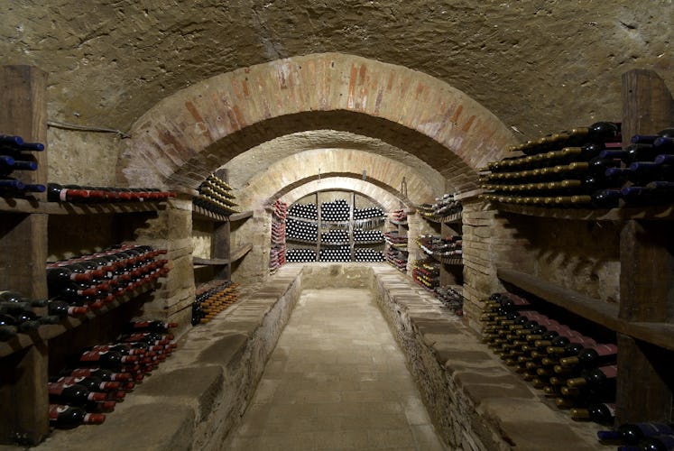 Terre del Bruno, l'ottimo vino prodotto in azienda e conservato nell'antica cantina in pietra della Fattoria Pogni
