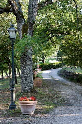 A stroll in the tranquility of the Tuscan countryside 