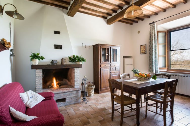 Fully equipped kitchens and cosy fireplace at I Pianelli