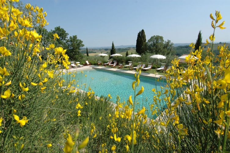 The large swimming pool is surrounded by olive trees  & lounge chairs