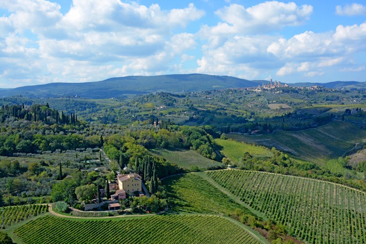 Several areas are organized for enjoying the views and vineyards