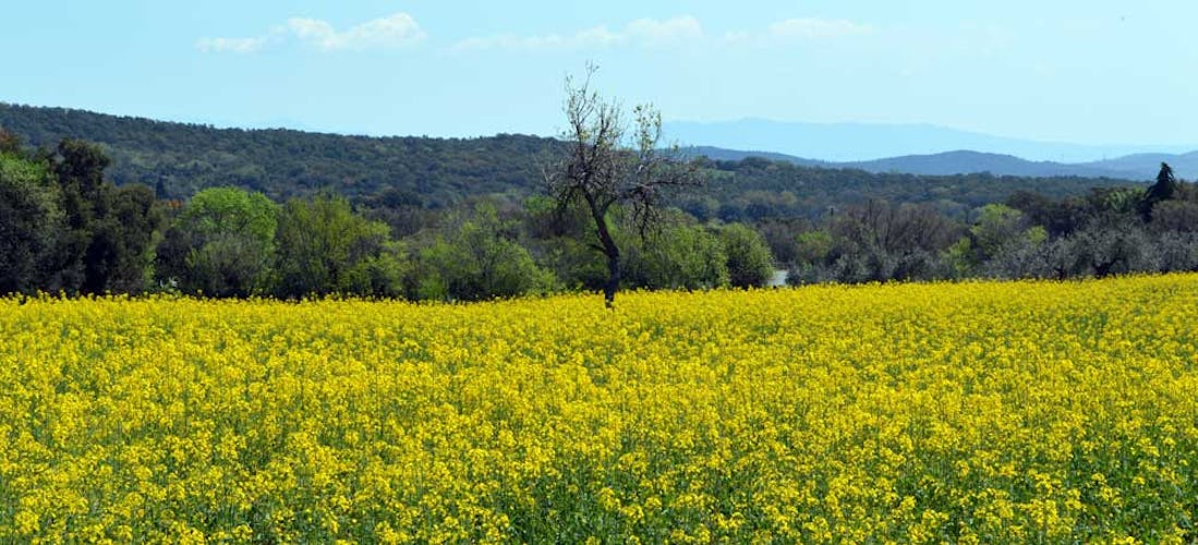 The Maremma is famous for is landscape, food and wine