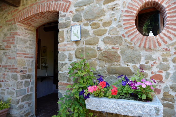 La Casa in Chianti: Typical Tuscan
