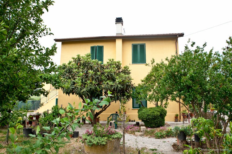 La Nostra Maremma - centrally located near beaches, sport fishing, hot water springs and typical Tuscan towns
