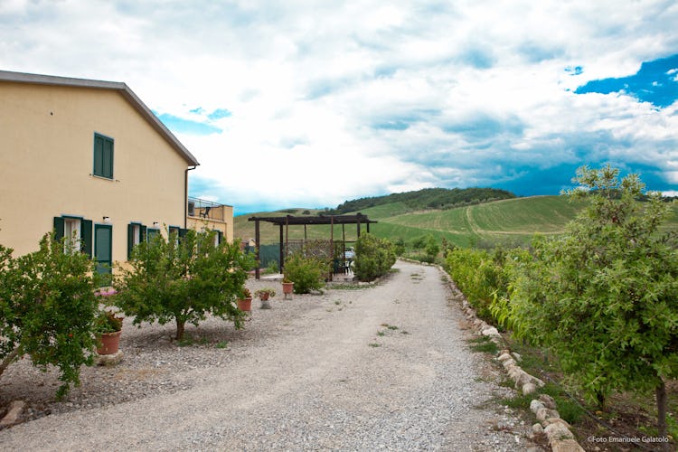 Agriturismo la Nostra Maremma - Home cooked meals available