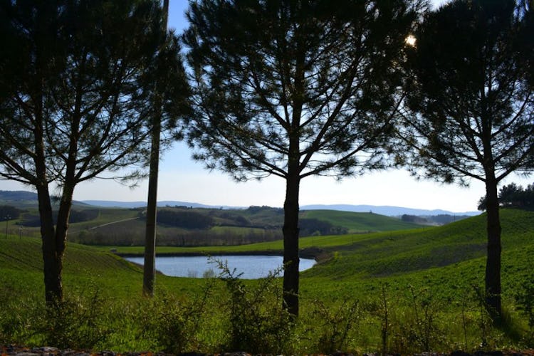 Private lake for fishing at Agriturismo Le Valline near Siena