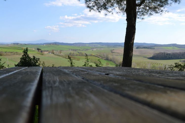 Beautiful panorama at Agriturismo Le Valline near Siena