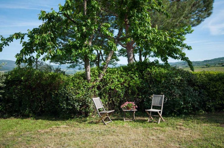 Lush green garden area surround the Montrogoli Holiday Home, with BBQ
