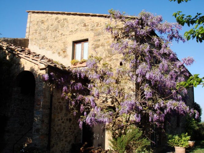 Eco-friendly accommodations to preserve the beauty of Tuscany