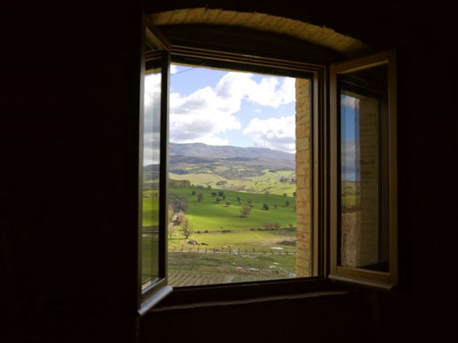 Sistemazione rurale vicino Grosseto, veduta dalla finestra