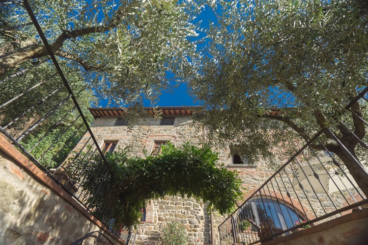 Residence Il Gavillaccio, peace among the olive trees