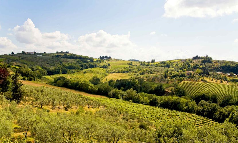 Sant Andrea Cellole - Chianti vineyards nearby
