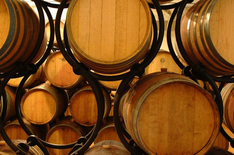 Ask for a guided tour of the wine cellar, wine tasting and olive oils.