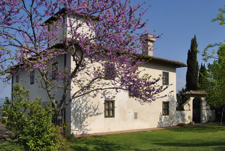 Villa la Medicea - Villa in Chianti