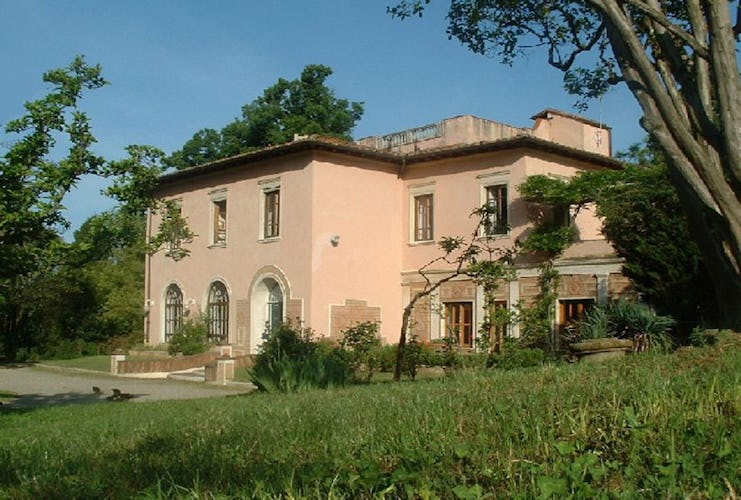  Villa Ulivi - Garden