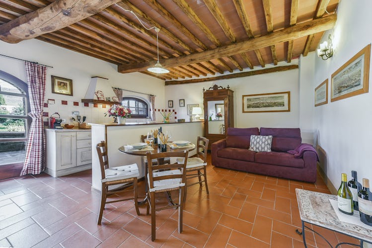 Fattoria Viticcio Rental Apartments & Vineyard: close to Florence