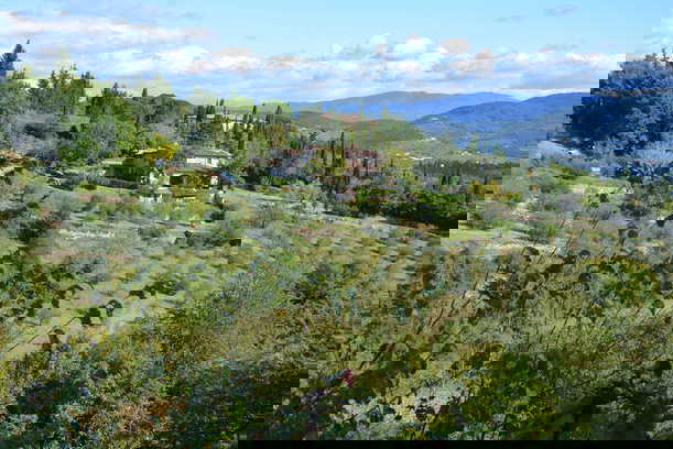 Agricola Poderino