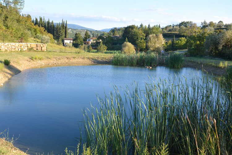 agricola-poderino-bagno-a-ripoli_14