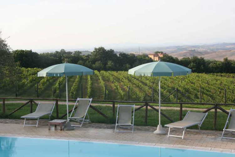 Surrounded by the true flavor of Tuscany:  history & Brunello